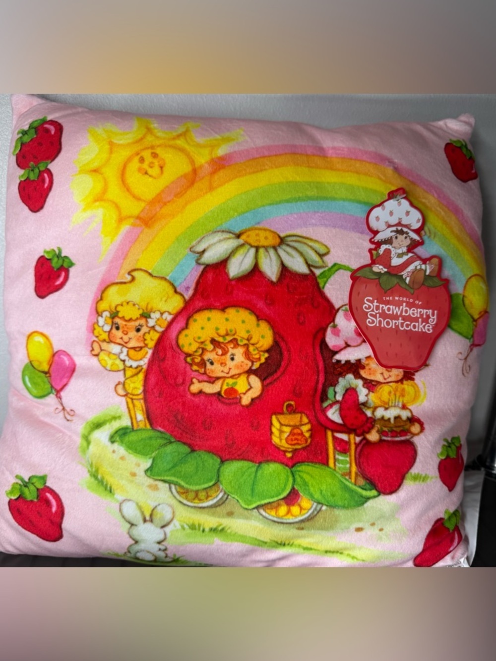 Strawberry Shortcake & friends vintage style pastel Squishy Pillow Rainbow print